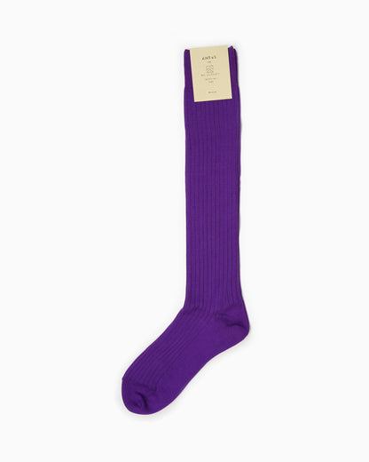 Calze Filo Long X ANT45 - Purple